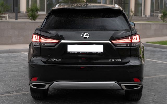 Lexus RX300 - image 3