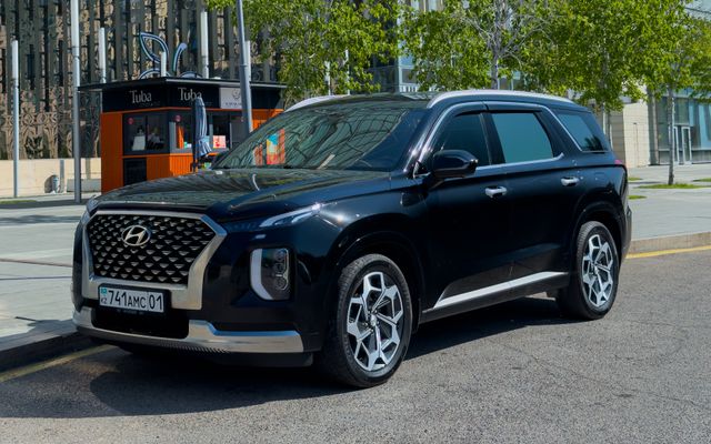 Hyundai Palisade - image 1