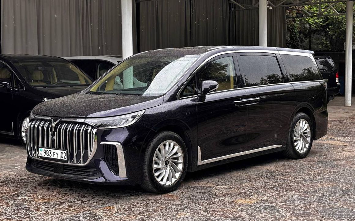 Voyah Dream - image 1