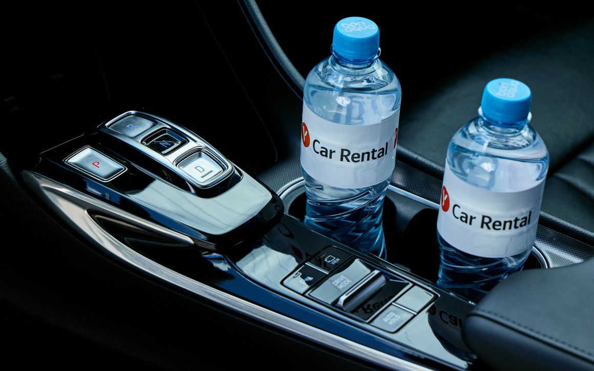 Hyundai Sonata - image 20
