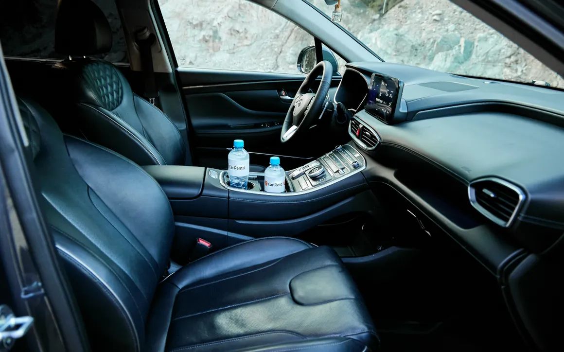 Hyundai Santa Fe - image 14