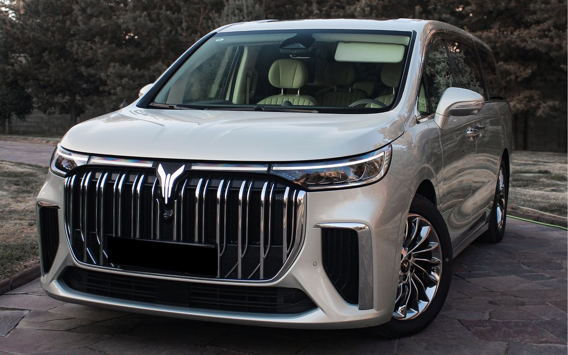 Voyah Dream - image 1